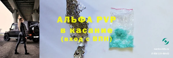 ECSTASY Вяземский