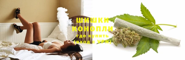 ECSTASY Вяземский