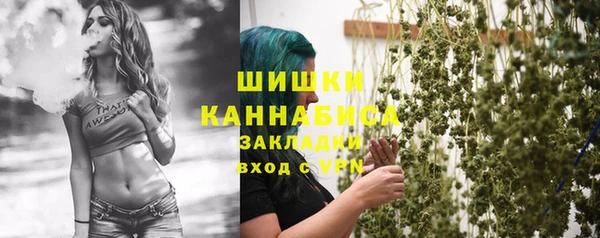 ECSTASY Вяземский
