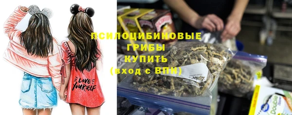 ECSTASY Вяземский