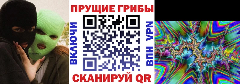 Купить  Новозыбков  Галлюциногенные грибы ЛСД 