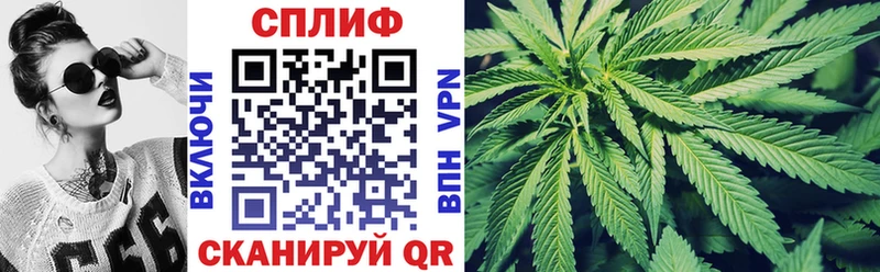 Бошки Шишки THC 21% Купить где Новозыбков